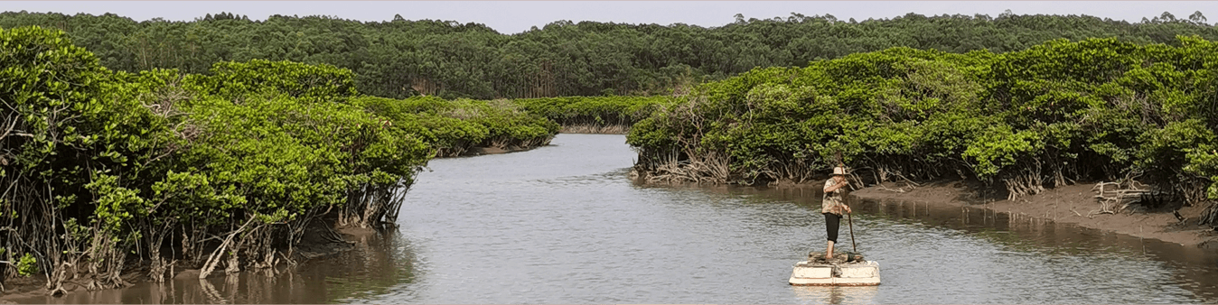 Integrated Coastal Management | PEMSEA